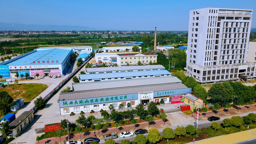 城固:工业经济蓬勃发展,开启高质量发展新征程