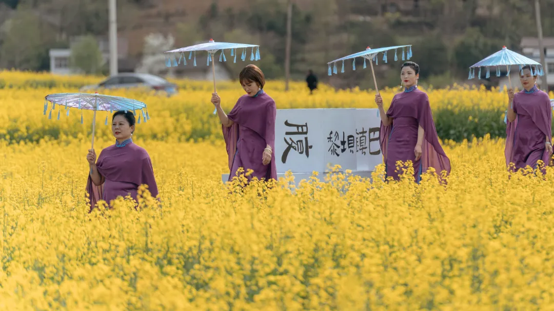2025汉中镇巴春日盛宴，解锁油菜花海文旅新玩法！