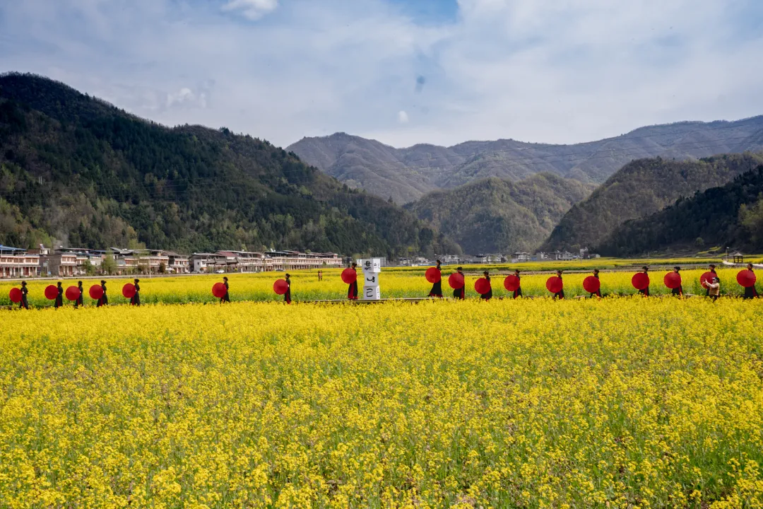 2025汉中镇巴春日盛宴，解锁油菜花海文旅新玩法！