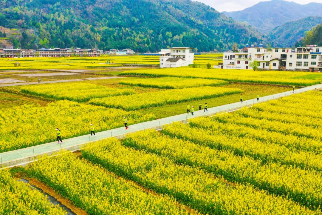 咩咩羊... (14)_副本.jpg