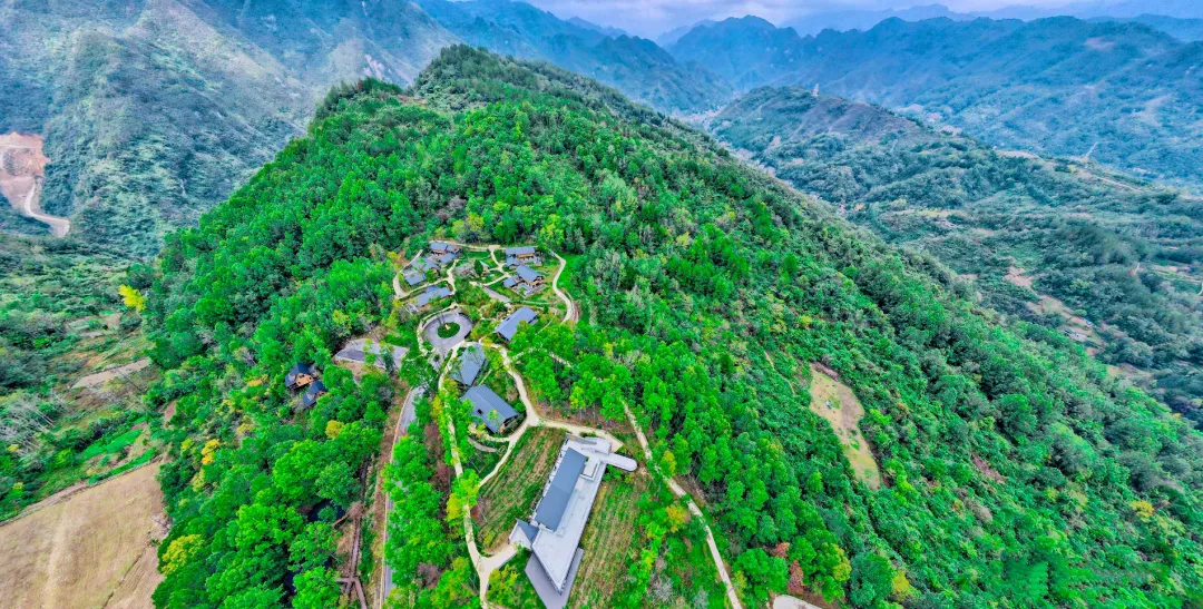 2025汉中镇巴春日盛宴，解锁油菜花海文旅新玩法！