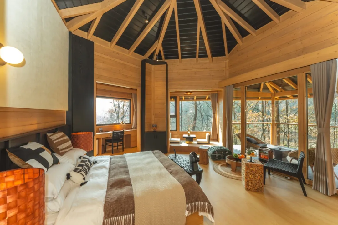 2025汉中镇巴春日盛宴，解锁油菜花海文旅新玩法！