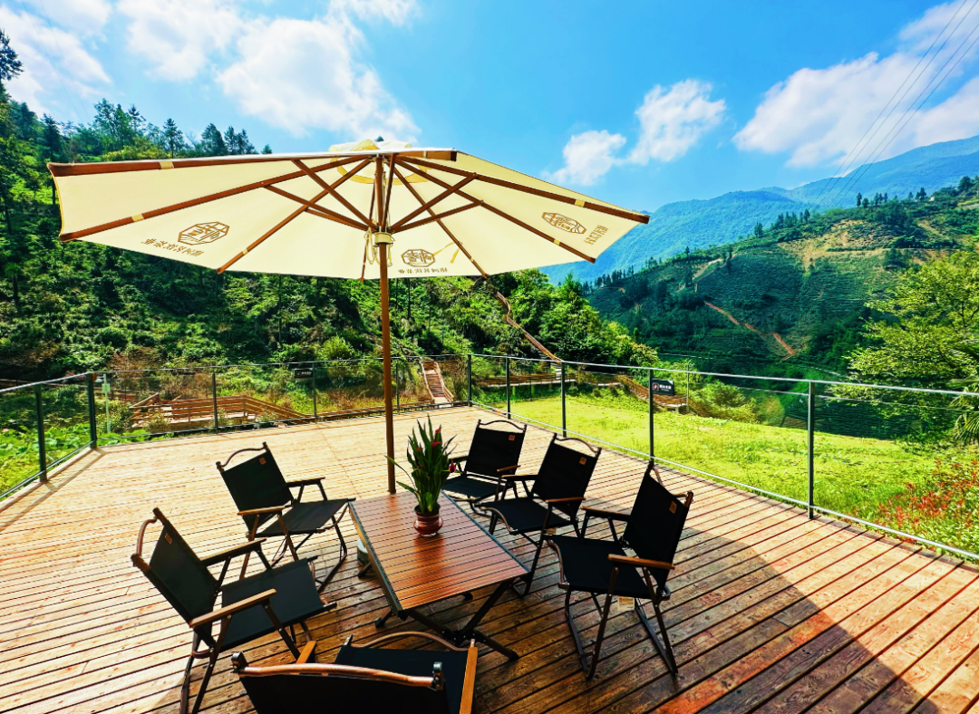 2025汉中镇巴春日盛宴，解锁油菜花海文旅新玩法！